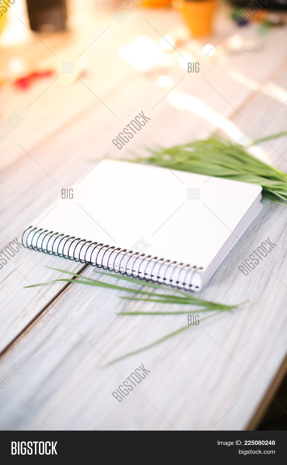 Image Preview
