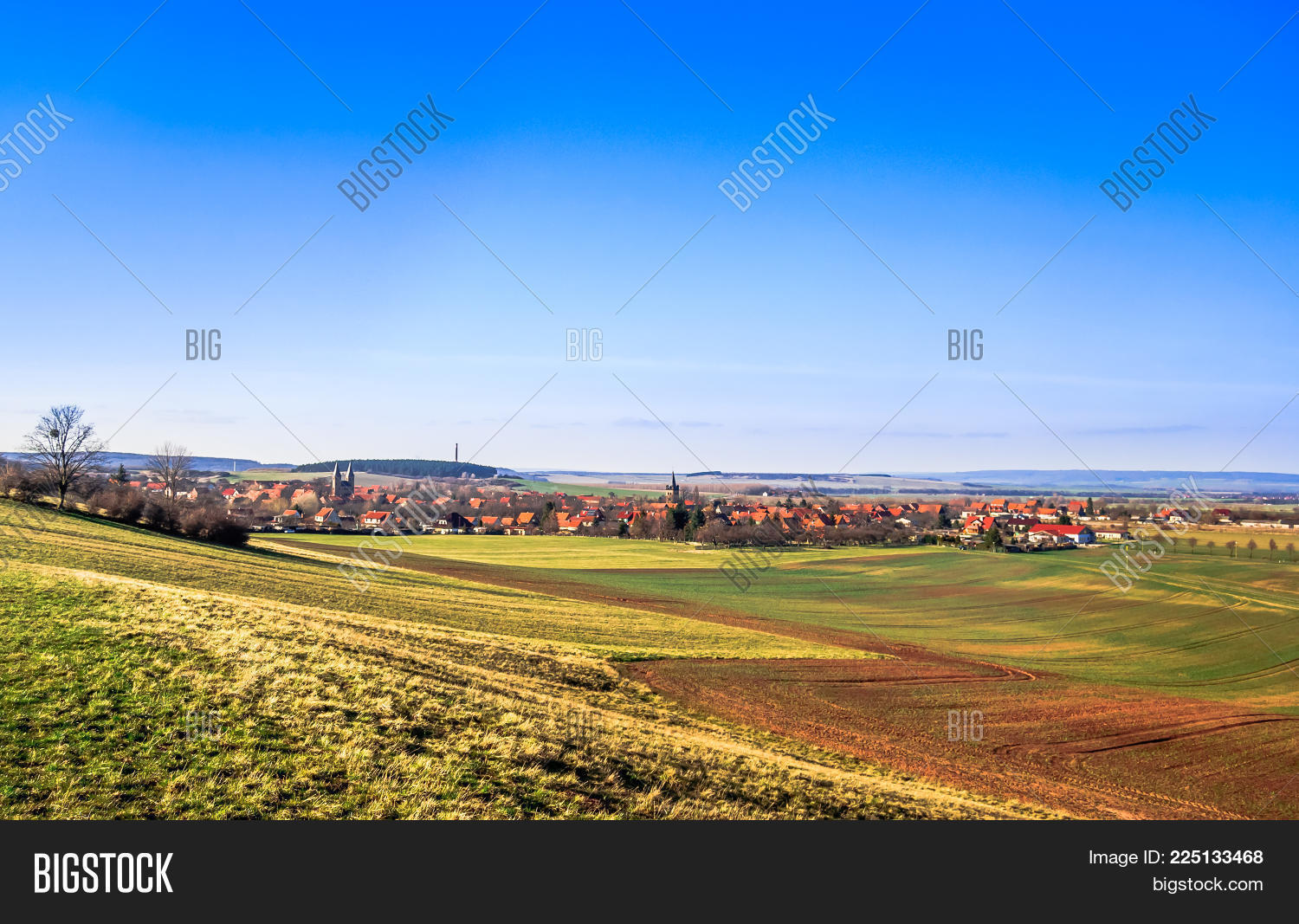 Image Preview