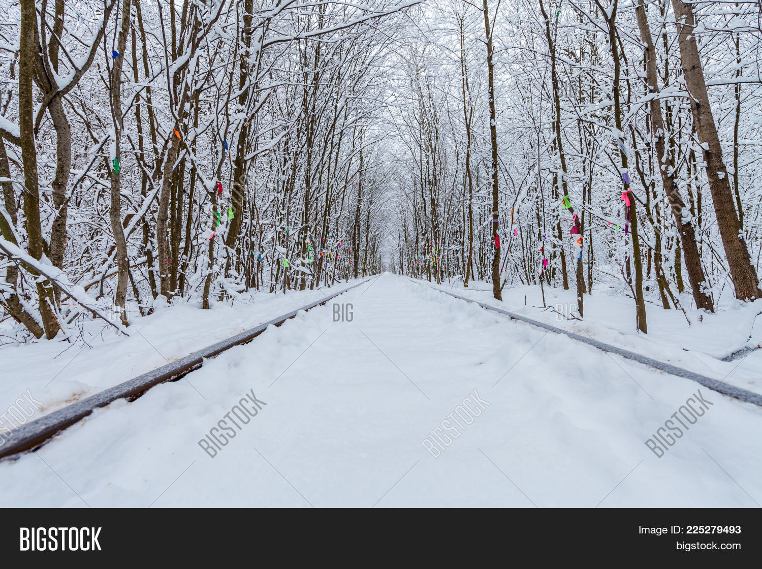 people forest railway winter powerpoint template people forest forest powerpoint background