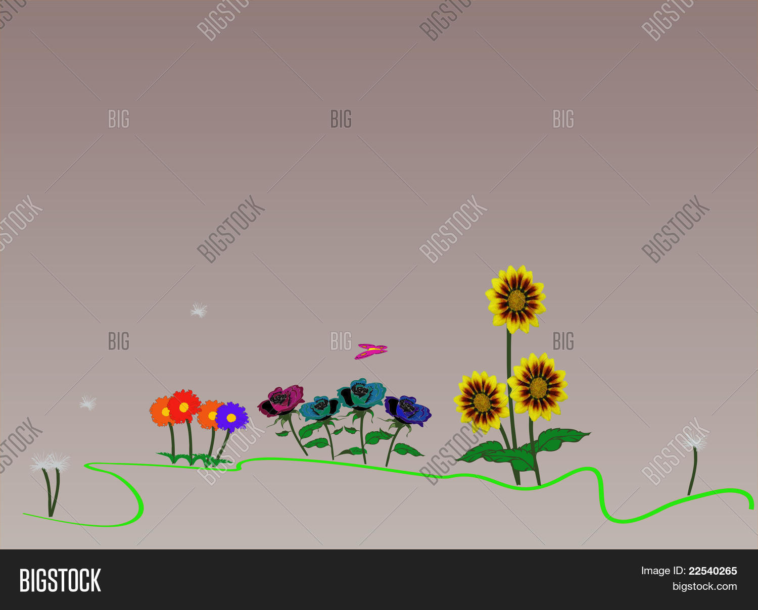 Image Preview