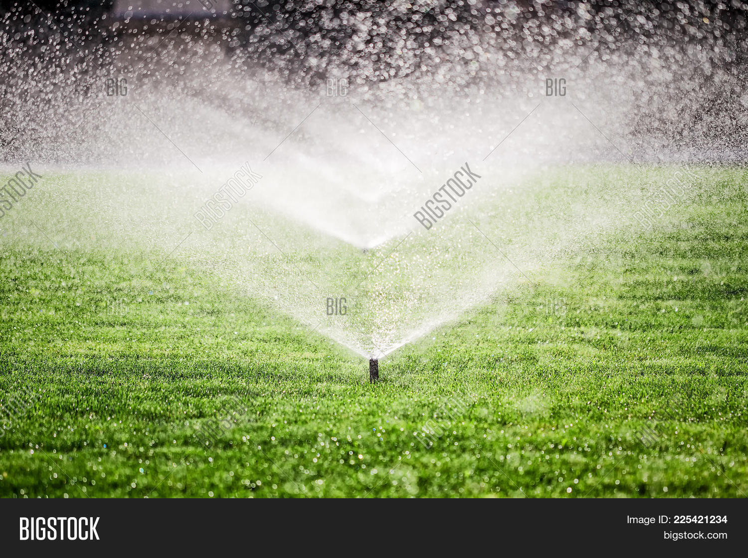 several garden powerpoint template several garden powerpoint garden powerpoint background