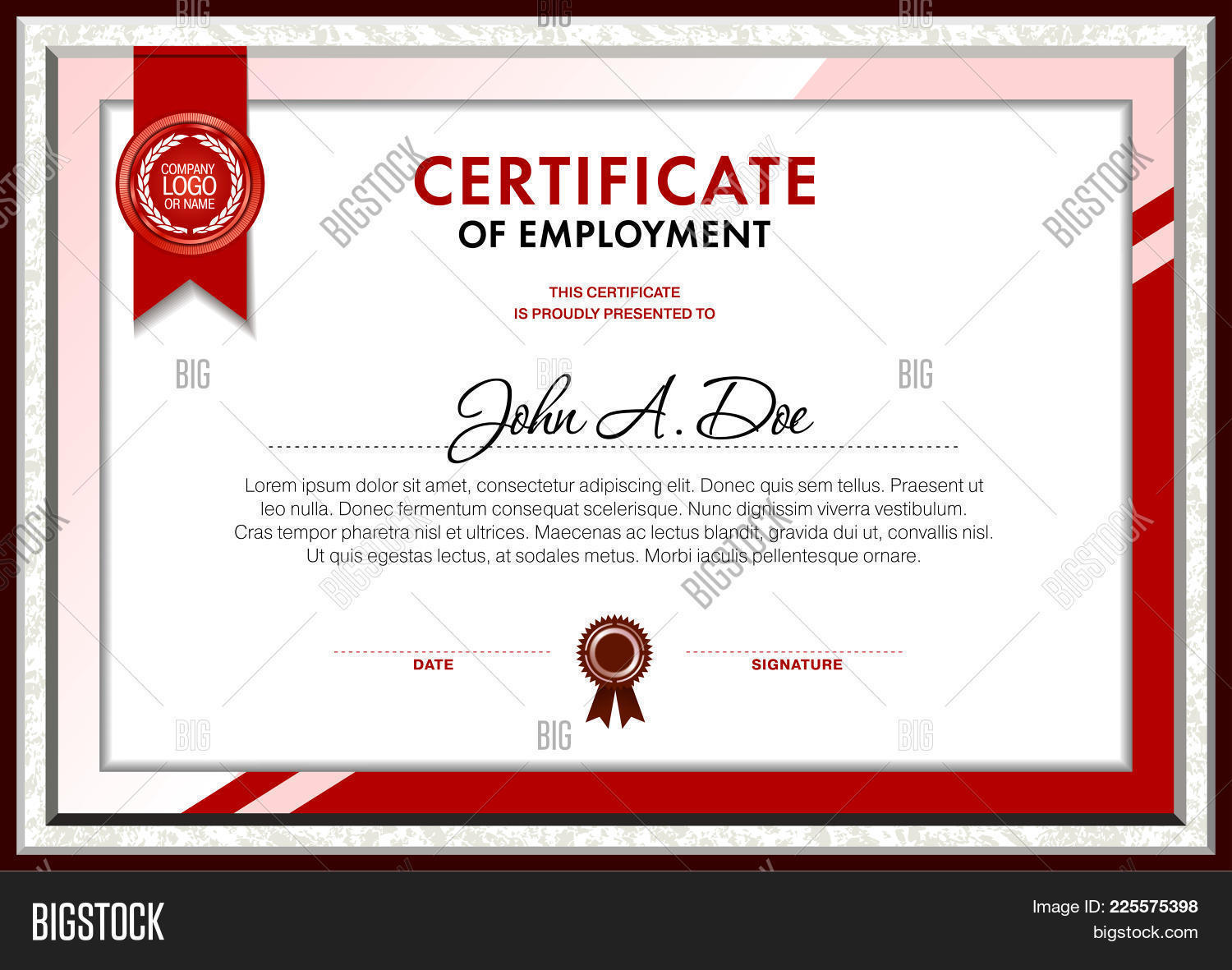 Certificate Vector & Photo (Free Trial)  Bigstock Throughout Certificate Of Employment Template