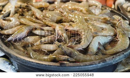 Shrimp on ice on the counter of the Asian street market. Freshly caught shrimps or Parapenaeus longirostris on the counter with ice at the fish shop. The raw shrimps in fish shop for sale. Philippines.