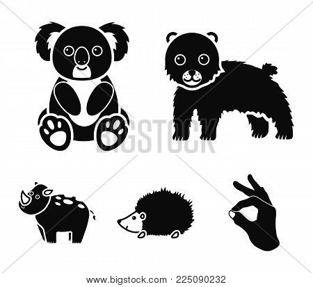 Rhino, koala, panther, hedgehog.Animal set collection icons in black style vector symbol stock illustration .