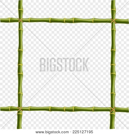 Green bamboo steam frame isolated on transparent background. Vector template for signboard, poster, banner creative desogn. Realistic plant poles or sticks border with space for text.