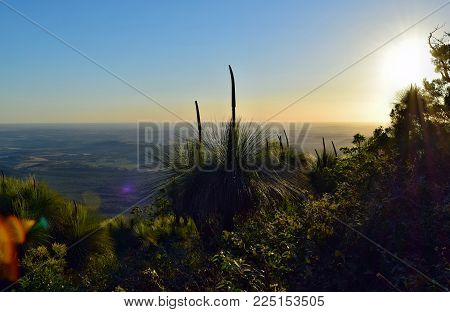 Landscape In Bunya National Park