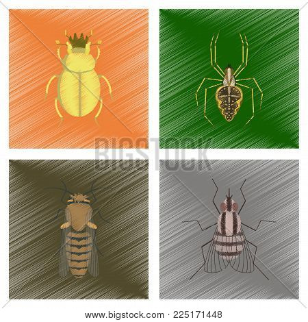 assembly flat shading style illustration of bug scarab Araneus bee fly