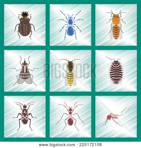 assembly flat shading style illustration of insect honey wasp soldier bug ant mosquito scarab Araneus bee fly