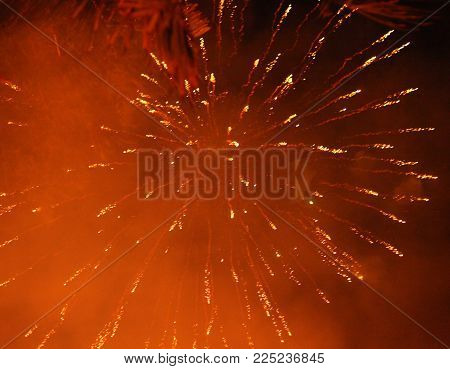 Close Up Firework Photo With Fire Sparkles And Flowers On Black Sky