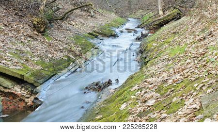River In The Leaves And Moss Name Of River Lodka, Lodz Poland