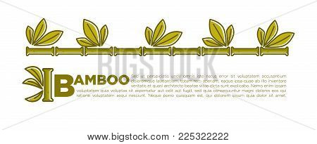 Bamboo leaf banner or poster background for SPA center or relax and beauty salon. Vector tropical palm or bamboo sprouts with green leaf for Zen or Asian and botany design template