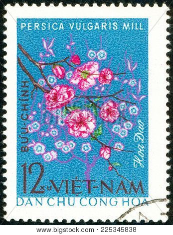 Ukraine - circa 2018: A postage stamp printed in Vietnam show Peach Blosom or persica Vulgaris. Series: Four - seasons flowers. Circa 1964.