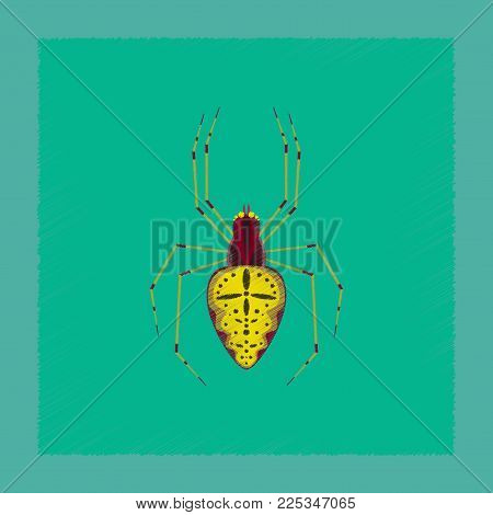 flat shading style illustration of spider Araneus