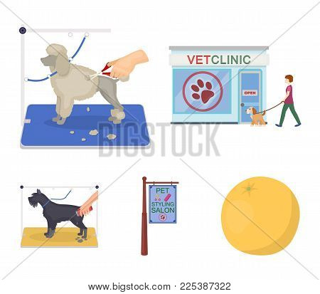 Visiting a vet clinic, a signboard of a stylish salon for a pet, a haircut of dogs. Vet clinic and pet, dog care set collection icons in cartoon style vector symbol stock illustration .