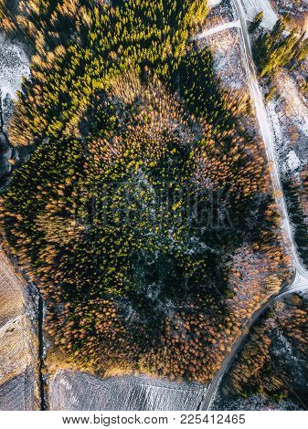 Aerial Drone Overview Photography Of A Partly Snowy Forest In A Sunny Winter Day With A Beautiful Su