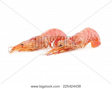 Fresh Red Shrimps Ready For Grill. Seafood Bbg