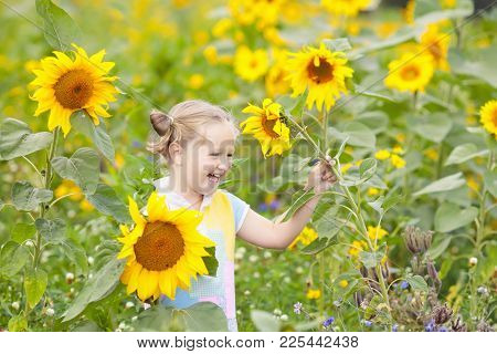 Child In Sunflower Field. Kids With Sunflowers.