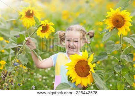 Child In Sunflower Field. Kids With Sunflowers.