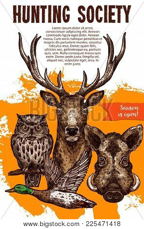 Hunting Sport Banner With Wild Animal And Bird. Deer, Duck, Boar And Owl Sketches For Announcement P