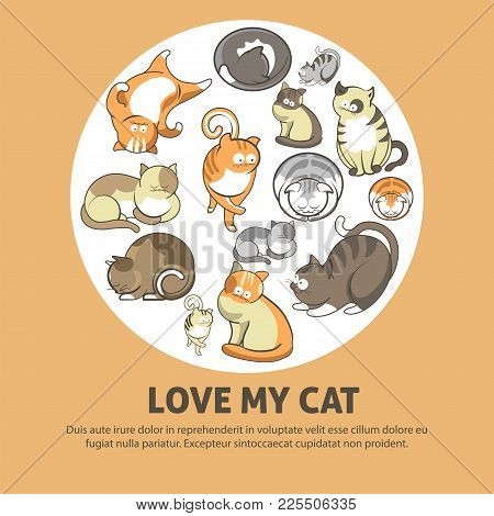 Love My Cat Promotional Poster With Cute Pets That Have Fluffy Fur Inside Circle Isolated Cartoon Fl
