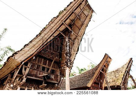 Roof Of Tongkonan With Horns Of Buffaloes, Traditional Torajan Buildings. Ethnic Village Kete Kesu I