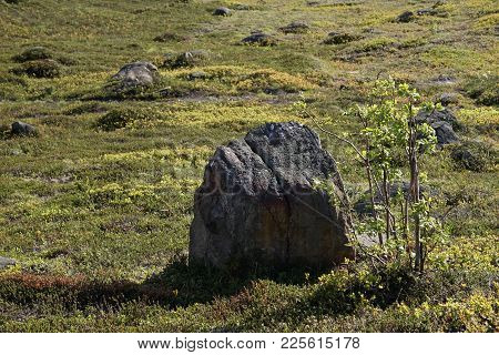 Murmansk, Russia-june 5, 2015: A Group Of Stones Lying On The Green Spring Grass In Murmansk On A Cl