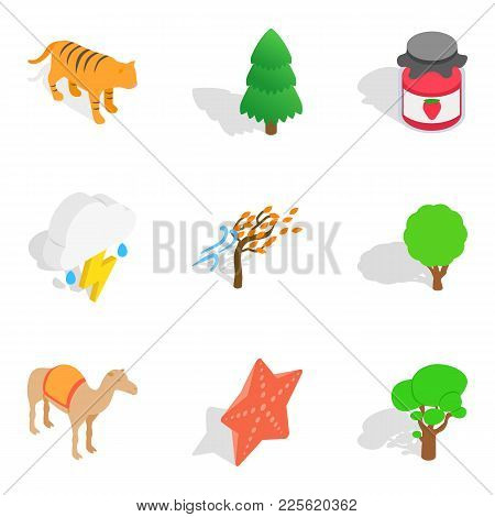Forested Area Icons Set. Isometric Set Of 9 Forested Area Vector Icons For Web Isolated On White Bac