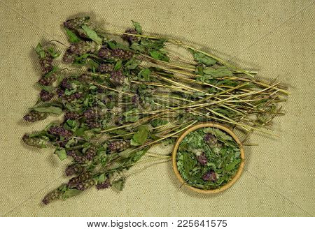 Prunella Vulgaris. Dry Herbs For Use In Alternative Medicine, Phytotherapy, Spa, Herbal Cosmetics. P