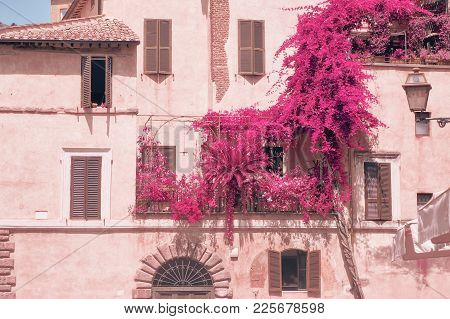 Infrared Photography Of Mini Garden On A Balcony