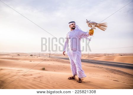Arabic Man In The Desert With His Hawk