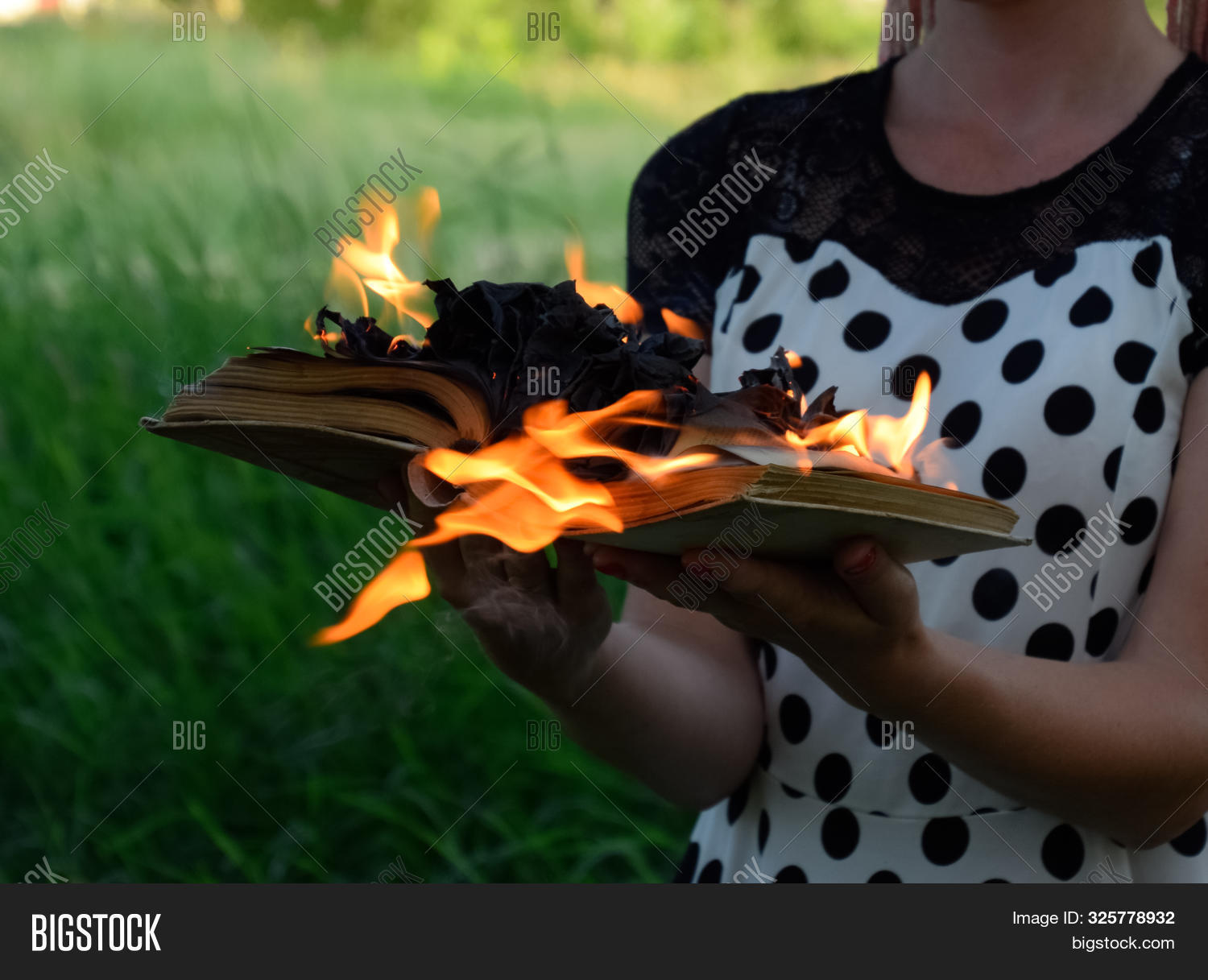 Burning Book Hands. Image & Photo (Free Trial) Bigstock