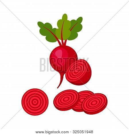 Beet Isolated On White Background. Vector Illustration.