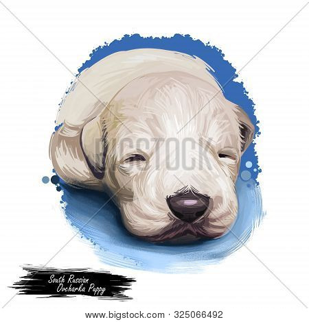 South Russian Ovcharka Breed With Opened Mouth Digital Art. Watercolor Portrait Of Pet Originated Fr