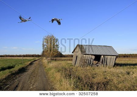 Smukke enge, laden og grus grus.