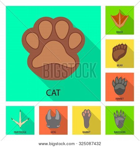 Vector Design Of Step And Walk Logo. Set Of Step And Fauna Stock Vector Illustration.
