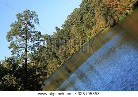 Distorted, Inverted Reality In Visualization. Single Tree-pine Over The Water Of Picturesque Pond. G