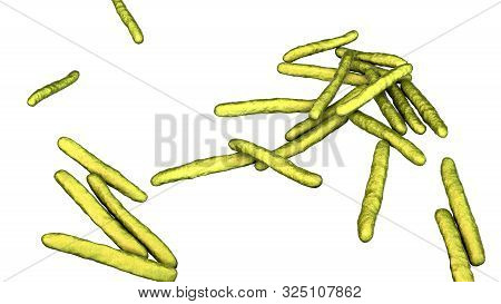 Mycobacterium Leprae Bacteria, The Causative Agent Of Leprosy, 3d Illustration