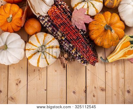 Overhead View Of Indian Corn And Mini Pumpkins On A Rustic Wooden Background With Copy Space