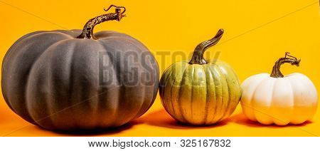 Black, Green, And White Pumpkins Side By Side On An Orange Background
