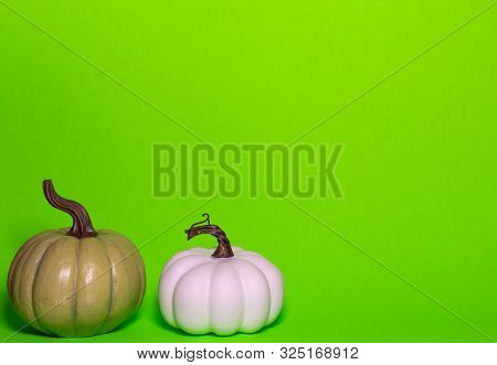 Green And White Thanksgiving Pumpkins On A Green Background With Room For Text