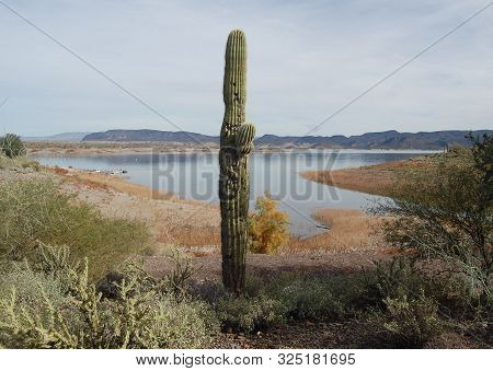 Lake Pleasant, Near Phoenix, Maricopa County, Arizona.