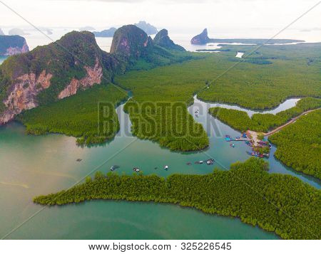 Aerial Vire Green Tropicl Mangrove Forest