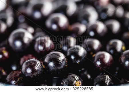 The Jabuticaba Or Jaboticaba Is The Fruit Of The Jaboticabeira Or Jabuticabeira, A Brazilian Fruit T