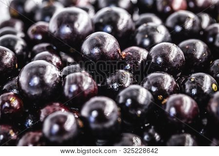 Several Brazilian Fruits, Called Jabuticaba Or Jaboticaba. Organic Fruit And Without Convergent. Fru