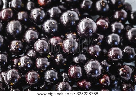 Several Brazilian Fruits, Called Jabuticaba Or Jaboticaba. Organic Fruit And Without Convergent. Fru