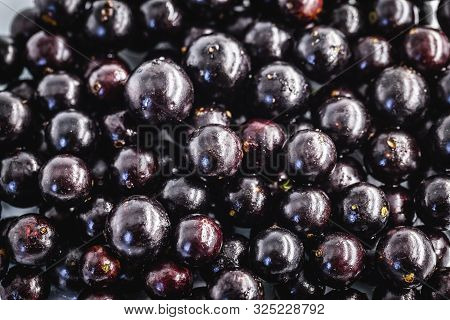 Several Brazilian Fruits, Called Jabuticaba Or Jaboticaba. Organic Fruit And Without Convergent. Fru