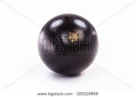 The Jabuticaba Or Jabuticaba Is A Purplish Black-white Fruit, Typical Fruit Of Brazil, On Isolated W