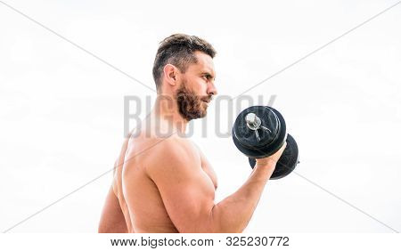 Man Sportsman Weightlifting. Steroids. Athletic Body. Dumbbell Gym. Fitness And Sport Equipment. Mus