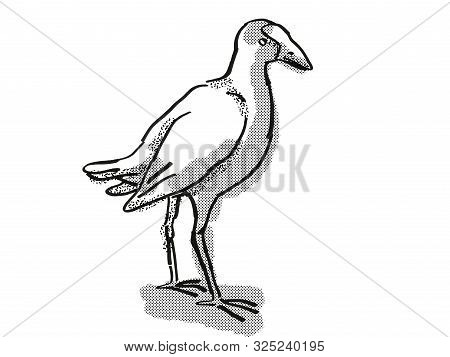 Retro Cartoon Style Drawing Of A Pukeko Or Purple Swamphen  , A New Zealand Bird On Isolated White B