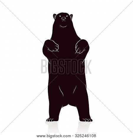 Angry Bear Silhouette Vector Isolated On White Backround